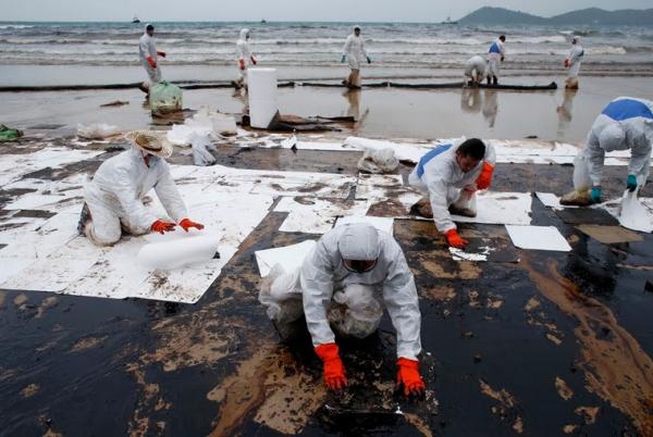 Полотно сорбирующее С-верад ЖД с непроницаемым нижним слоем 80х50